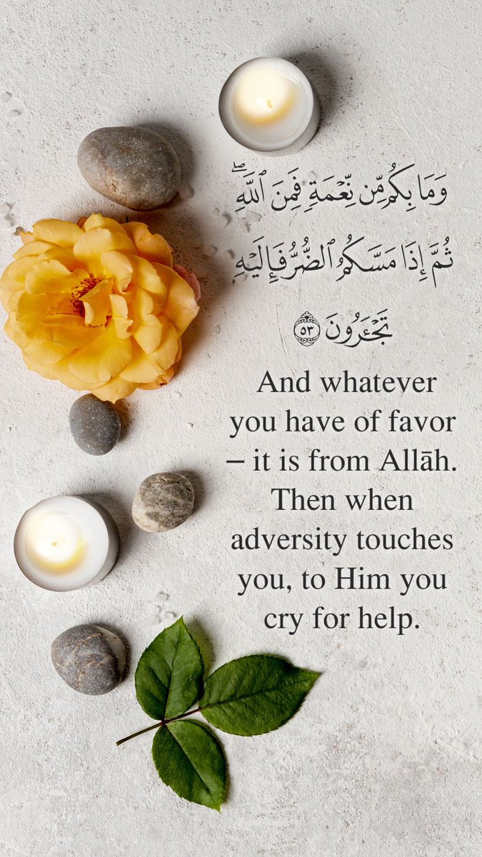 Rawai3_quran_EN's tweet photo. #think #favor #help #remmber https://t.co/tsee1jhkKG
