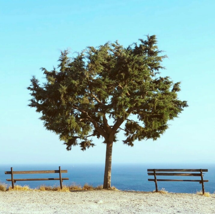 zesenz's tweet photo. 'Ve sevgilim ,sana gelince; Eğer 1gün uğrarsan sol göğsümün altındaki kente, hüzünlü bir sesle: 'Buralar 1 zamanlar hep benimdi' diyeceksin kendine . . ' https://t.co/u74FGnXvkT