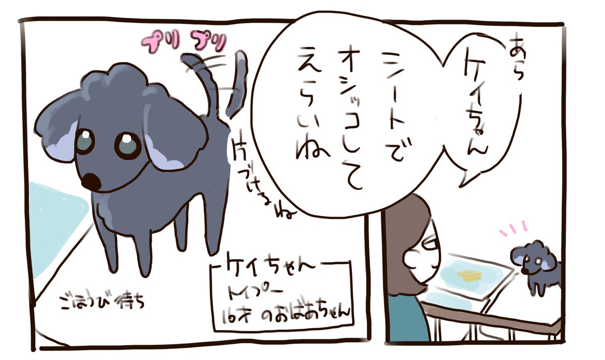 実家の老犬預かり中です🐕‍🦺
かわいいのでかける時に日記かこうと思います 