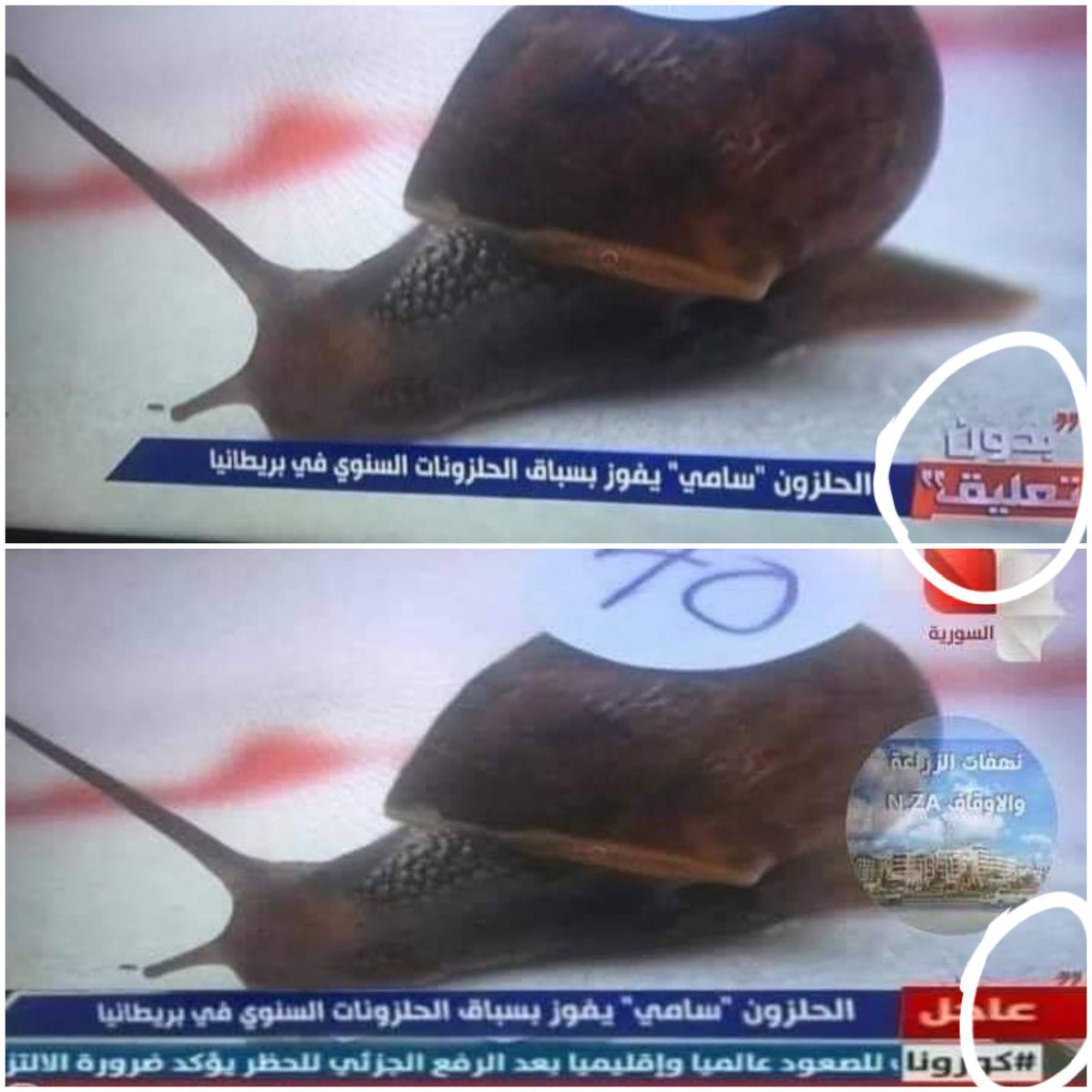 AbdallaHallak1's tweet photo. مو دفاعاً عن حدا .. لأنو التقصير موجود
بس من باب توضيح الحقيقة ومحاربة الشائعات يلي منستهلكها  بقدر استهلاكنا للأكل والشرب !
الخبر مأخود من قناة مص��ية .. وفيكن تلاحظوا لوغو البرنامج المصري لسا ظاهر منو جزء بسيط بالصورة يلي تحت بعد ما تم تعديلها على فوتوشوب 🙂
#عبدالله_الحلاق https://t.co/AkJ4b2Z5Vw
