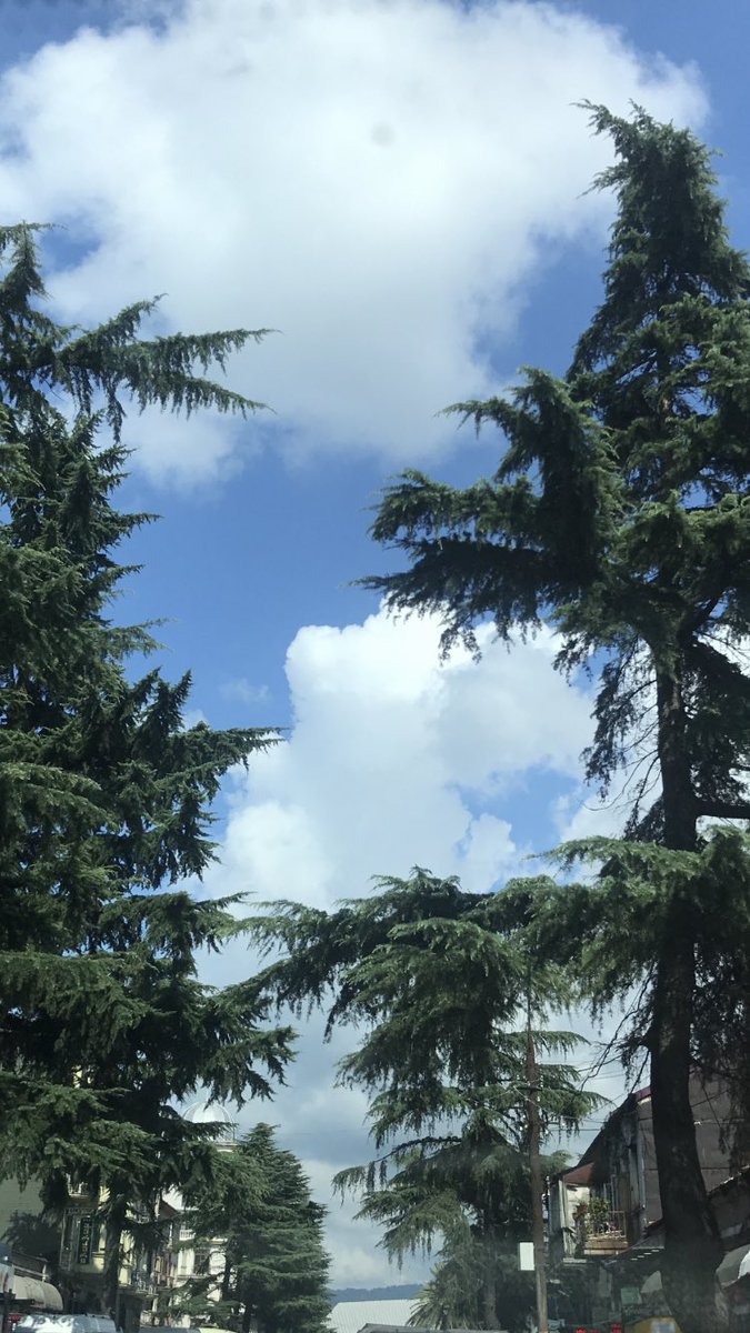 “Seni seviyorum. 

Sana söyleyecek bundan daha sana ve bana ait sözüm yoktur. “  

 Nazım Hikmet