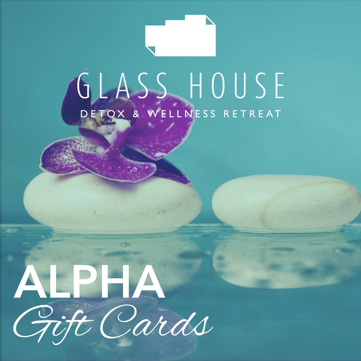 Alpha__Rewards's tweet image. Book yourself in for an experience to remember with the @GHouseretreat. Find top fitness facilities and classes, spa treatments and nutrition—all in one place—giving you the best possible space for change.  Alpha Gift Card - supporting all UK venues. 
bit.ly/glasshouseoffer