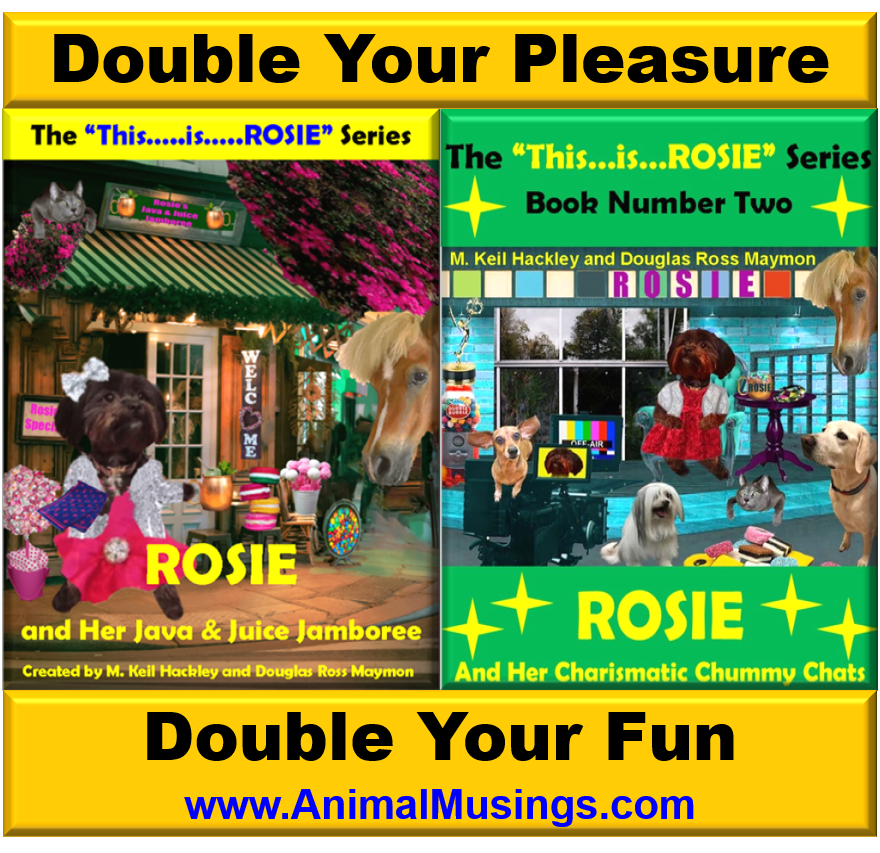 DRMaymon's tweet photo. So, what is The "This...is...ROSIE" Series?
A progression of Liberating Life Lessons for all ages from ROSIE, the little Doggie who could, and eventually DID.

Exceptional entertainment for all concerned.

Click on https://t.co/OBcJppXnKk to see what everyone is talking about. https://t.co/Vh4O8BONoP