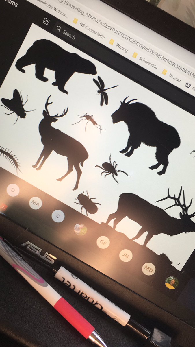 CourtneyBurk2's tweet image. Time for @munn_douglas MSc thesis defense! Range expansion of #blackleggedticks in NB and the role of #grouse as dispersal agents