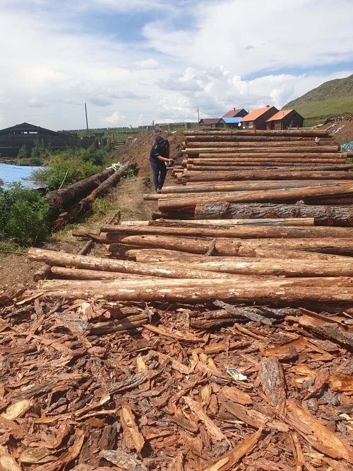 Экологийн Цагдаагийн алба tweet media