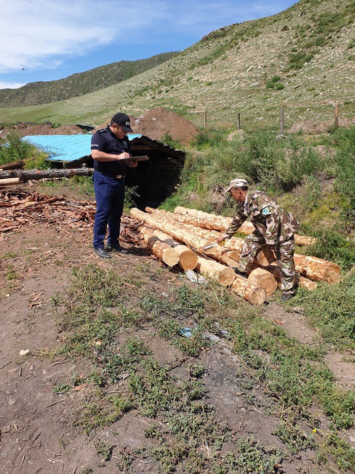 Экологийн Цагдаагийн алба tweet media