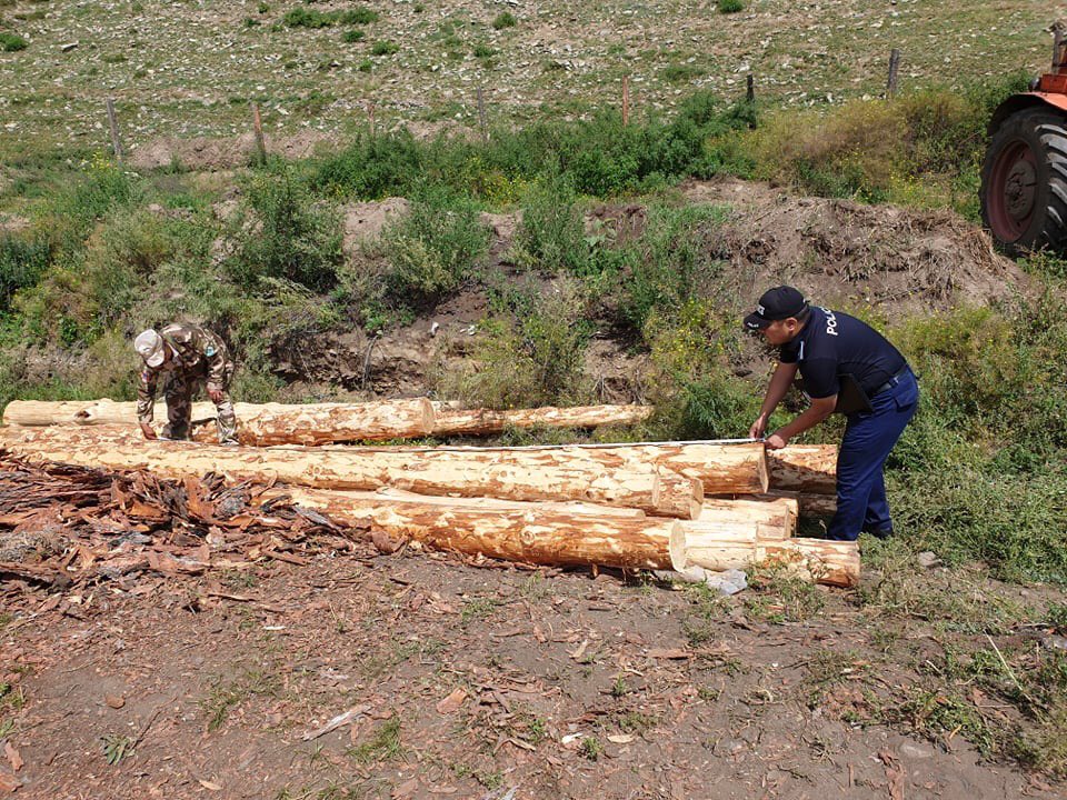 Экологийн Цагдаагийн алба tweet media