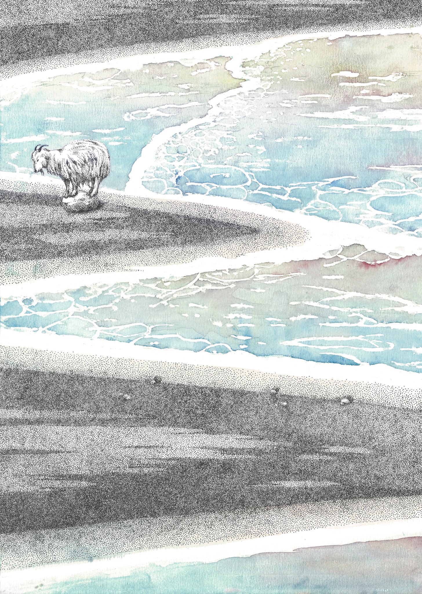 中川 ペン画 水彩画 En Twitter 浜辺とヤギ ペンと透明水彩で描いています 浜辺は点描画 海は透明水彩です ペンの細かな描写と透明水彩の大らかな色彩と ギャップのある絵にしました 8月の絵 イラスト 絵画 ペン画 細密画 透明水彩 水彩画 T