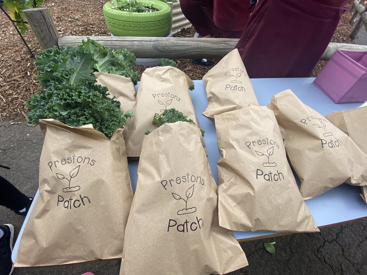 PrestonsPatch's tweet photo. Prestons Patch market day selling lettuce, silver beet, spinach, parsley and kale 🥬 @PrestonsPS https://t.co/XxRNng4hVL