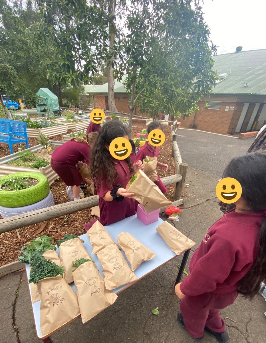 PrestonsPatch's tweet photo. Prestons Patch market day selling lettuce, silver beet, spinach, parsley and kale 🥬 @PrestonsPS https://t.co/XxRNng4hVL