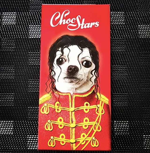 PetsRockWorld's tweet photo. Sweets vs. chocolate... We know what we'd prefer but what say you Pets Rockers??
#petsrock #chocstars #eatchocolate #chocolateday #gift https://t.co/Adr4y4S875