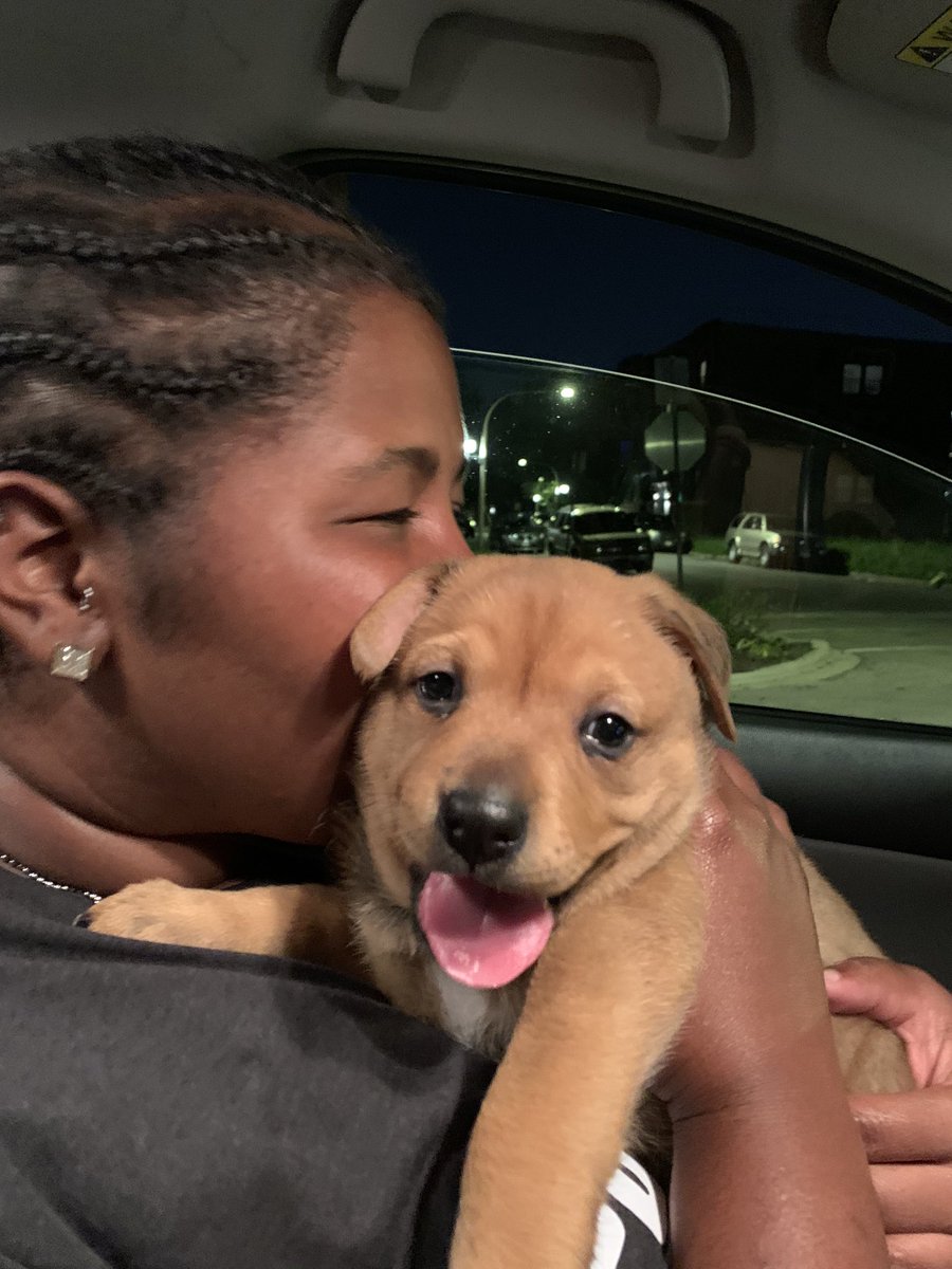 Good morning 
Meet my babygirl, Bailey 💙