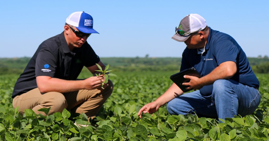 PioneerSeeds's tweet photo. Some of the unsung heroes in ag are the agronomists and sales reps working to keep yield potential ⬆ and pest pressure ⬇️. Tag your Pioneer and @CortevaUS teammates and say thanks! #FarmerFriday 
📸: @KsSoybean https://t.co/1dERzqDgka