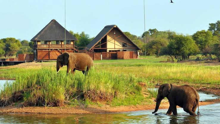 I need this...😍

📍Mongena Game Lodge, Tshwane 

#TourismStrong #tourist #Tshwane #explore #SouthAfricanTourism