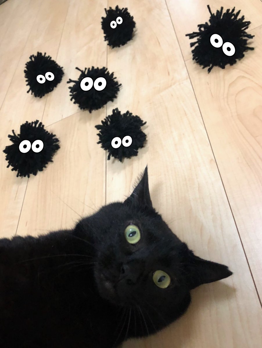 黒猫uniko まっくろくろすけ出ておいで Cat ねこ 猫 黒猫 Blackcat 猫好きさんと繋がりたい 猫のいる暮らし ジブリ となりのトトロ まっくろくろすけ 黒猫uniko まっくろくろすけ出ておいで Cat ねこ 猫 黒猫 Blackcat 猫好きさんと繋がりたい 猫のいる暮らし ジブリ となりのトトロ まっくろくろすけ