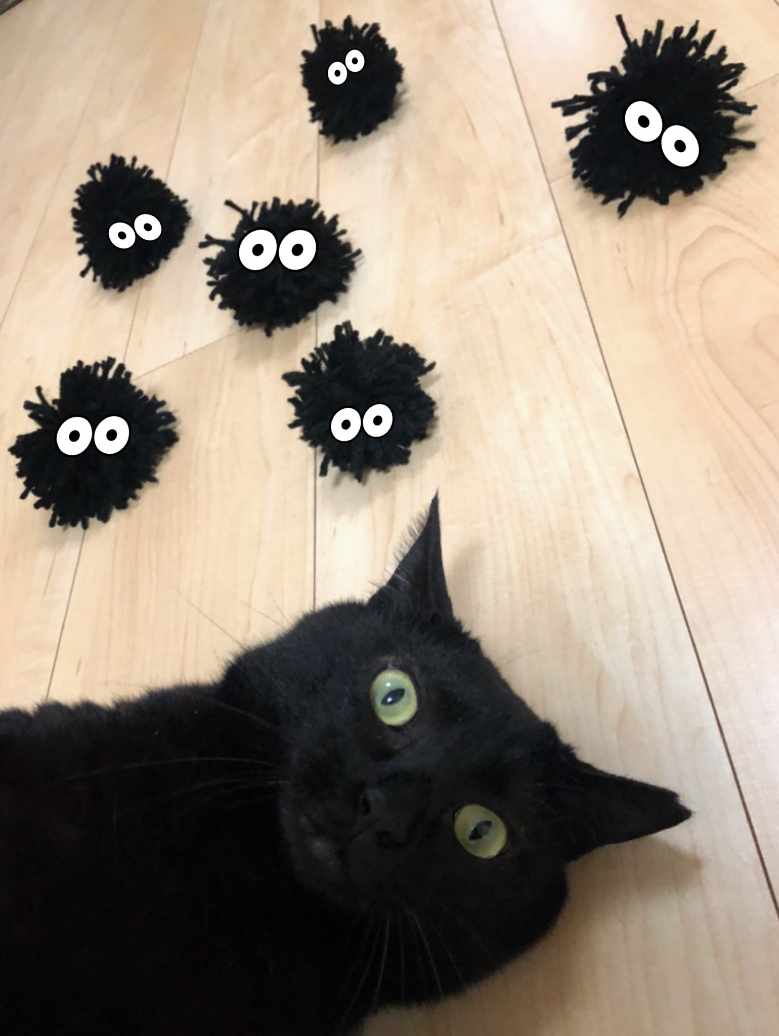 黒猫uniko まっくろくろすけ出ておいで Cat ねこ 猫 黒猫 Blackcat 猫好きさんと繋がりたい 猫のいる暮らし ジブリ となりのトトロ まっくろくろすけ