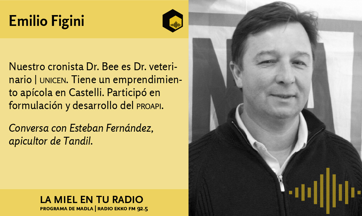 LaMielEnTuRadio's tweet photo. El 15/8 en la sección el cronista #DrBee de @LaMielEnTuRadio el Med. Vet. #EmilioFigini conversará con el Apic. #EstebanFernandez @intaargentina @INTAProapi #INTATandil sobre el manejo de la colmenas en esta época.
#bees #beekeep #beekeeper #honey #miel #calidaddevida https://t.co/hAWQJAAa8b