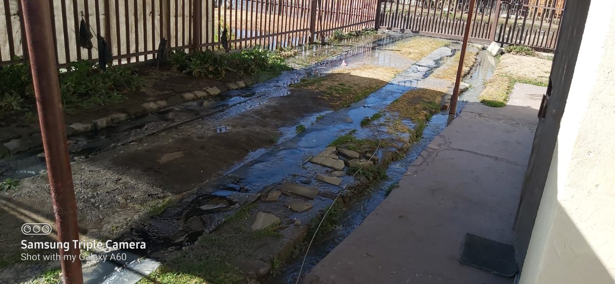 obendaloB's tweet photo. #ANCMustFall #VoestsekANC #after26 @DWS_RSA standerton wev been waiting for assistance this is the current situation at home. @standerton municipality has not even come to asses the condition 2days like thisπ π . We can't even use the toilet we can't even eat or anything!! https://t.co/oufLEcsr1R