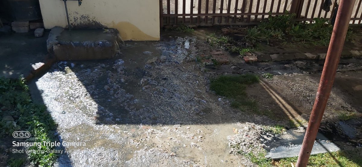 obendaloB's tweet photo. #ANCMustFall #VoestsekANC #after26 @DWS_RSA standerton wev been waiting for assistance this is the current situation at home. @standerton municipality has not even come to asses the condition 2days like thisπ π . We can't even use the toilet we can't even eat or anything!! https://t.co/oufLEcsr1R