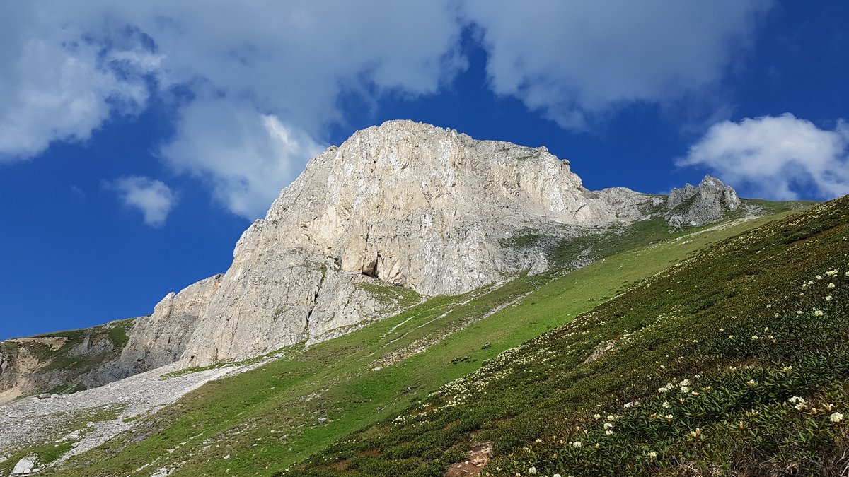 Artvin, Murgul, Tiryal Dağından bir ay öncesine ait görsellerim.