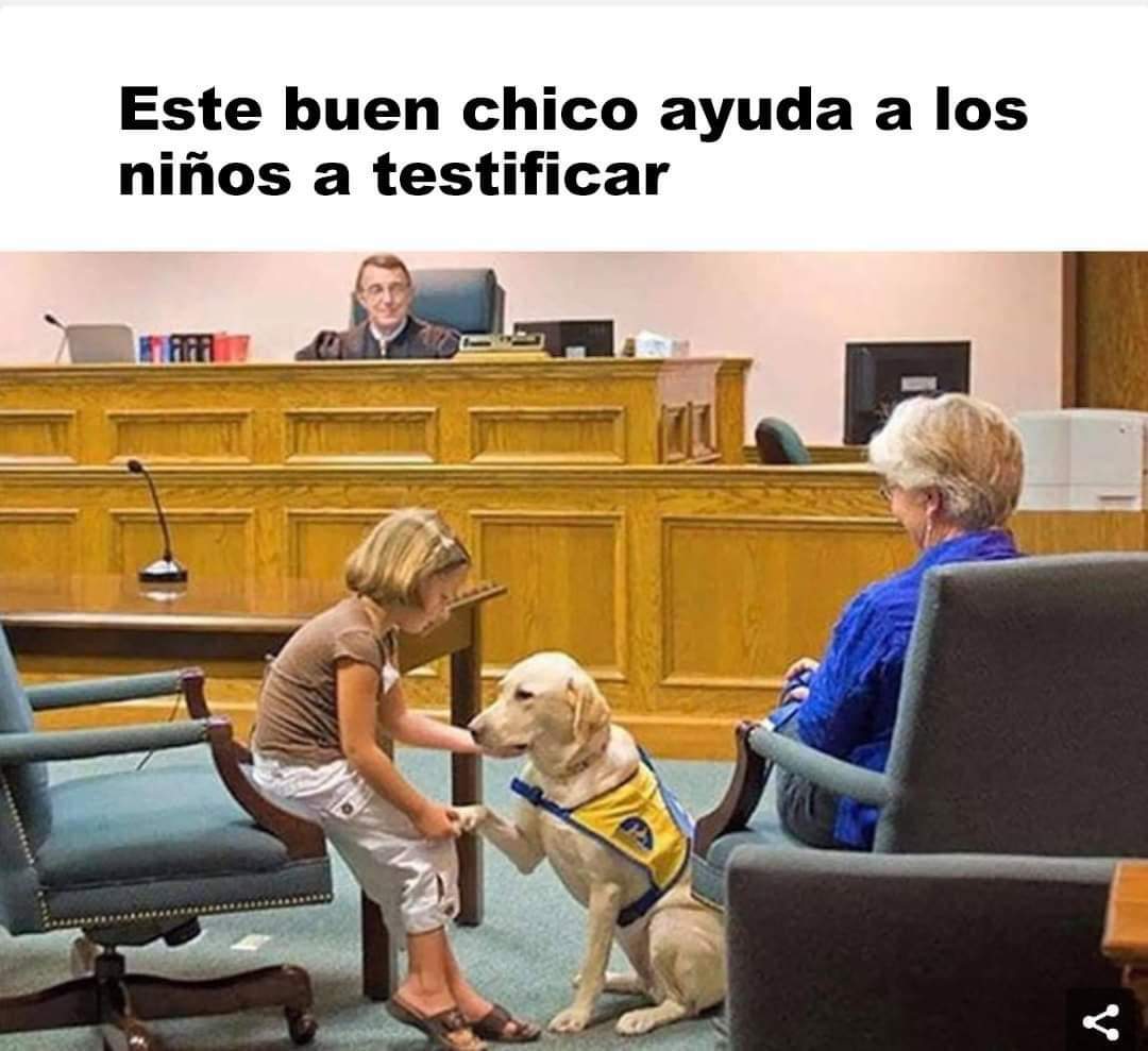 Antoniosaiyajin's tweet photo. Abro hilo de perritos geniales.

Créditos para quien encontró la información sobre ellos. https://t.co/OpudmTmJrH