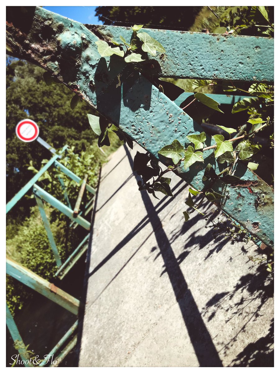 SHOOT & FLO (@ShootFlo) / Posts / X