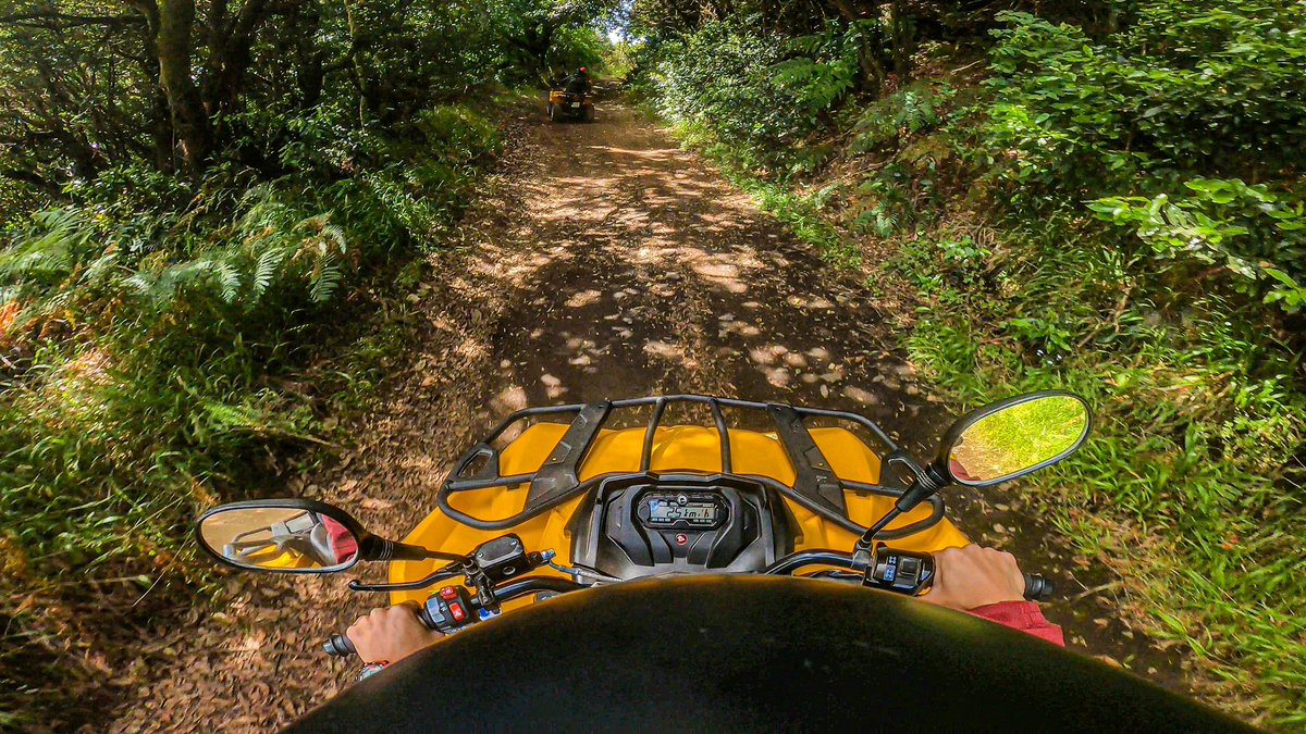 myquadsandbikes's tweet photo. Recorre #LaPalma en quad y siente la libertad #quadtours #canarias #moto #atv #quad #quadslapalma #actividades #rutas #naturaleza #laislabonita https://t.co/mdIhTOh8Qr