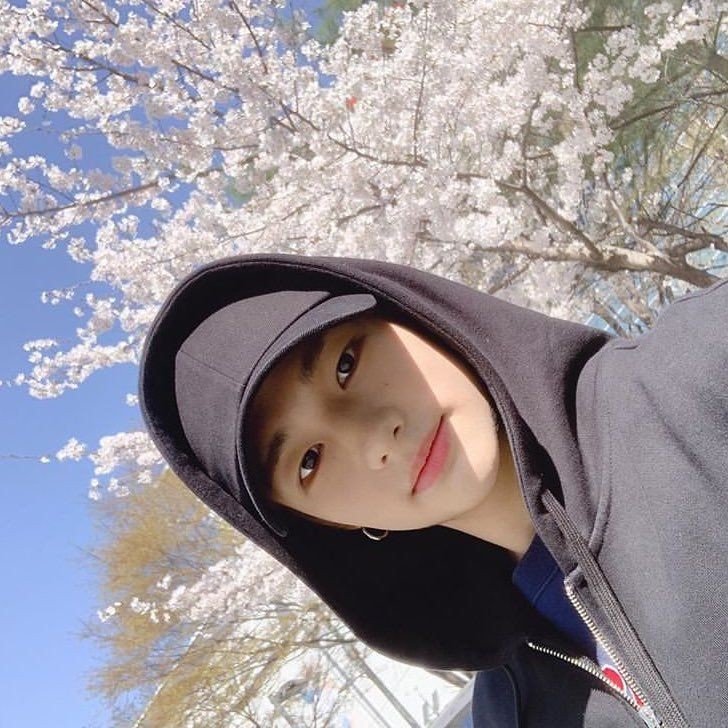 Hai gw raka
Newbie gan disini, temenan yok
Fc hyunjin dari skz

Mutual yok, rt ye
Fm, dm 

#rpw #rpindonesia #RpNewGeneration #rpkpop #roleplayer #roleplay #roleplayerkpop