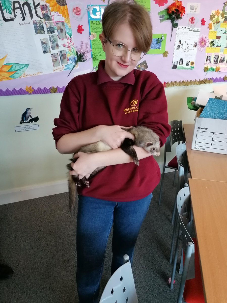 MidKent College tweet media