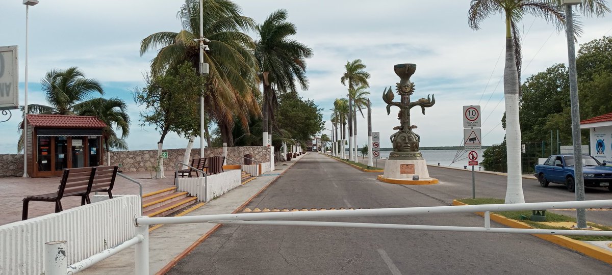 omaralpuche's tweet photo. #BuenosDíasATodos #QuedateEnCasa #JuntosSaldremosAdelante "La medida de lo que somos es lo que hacemos con lo que tenemos."©#VinceLombardi @cristinazuetar @AloEscolastico @KarenRu_DM @EneidaAiram @viridianacoral1 @TheAlanAlexis @FriasCaren @ulises_mandujan @axool98 @chetubien https://t.co/W12QJwZlNT