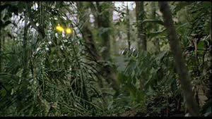 プレデターとトトロの親和性、違いがあれぐらいしかないｗｗｗ