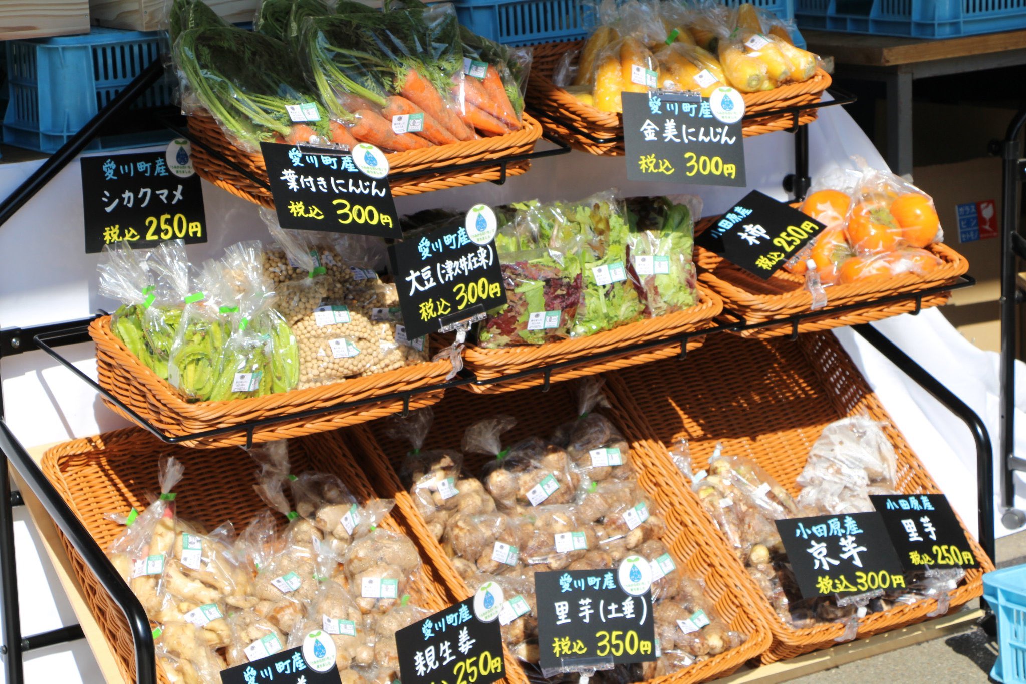 小田原 鈴廣かまぼこ 157歳 地元野菜たっぷり 8 15 8 16 ２日間限定 かまぼこの里 野菜 マルシェ を開催 新鮮やお野菜や 太陽をたっぷり浴びた柑橘系が並びます 販売期間 8 15 16 10時 16時まで 販売場所 鈴なり市場軒下