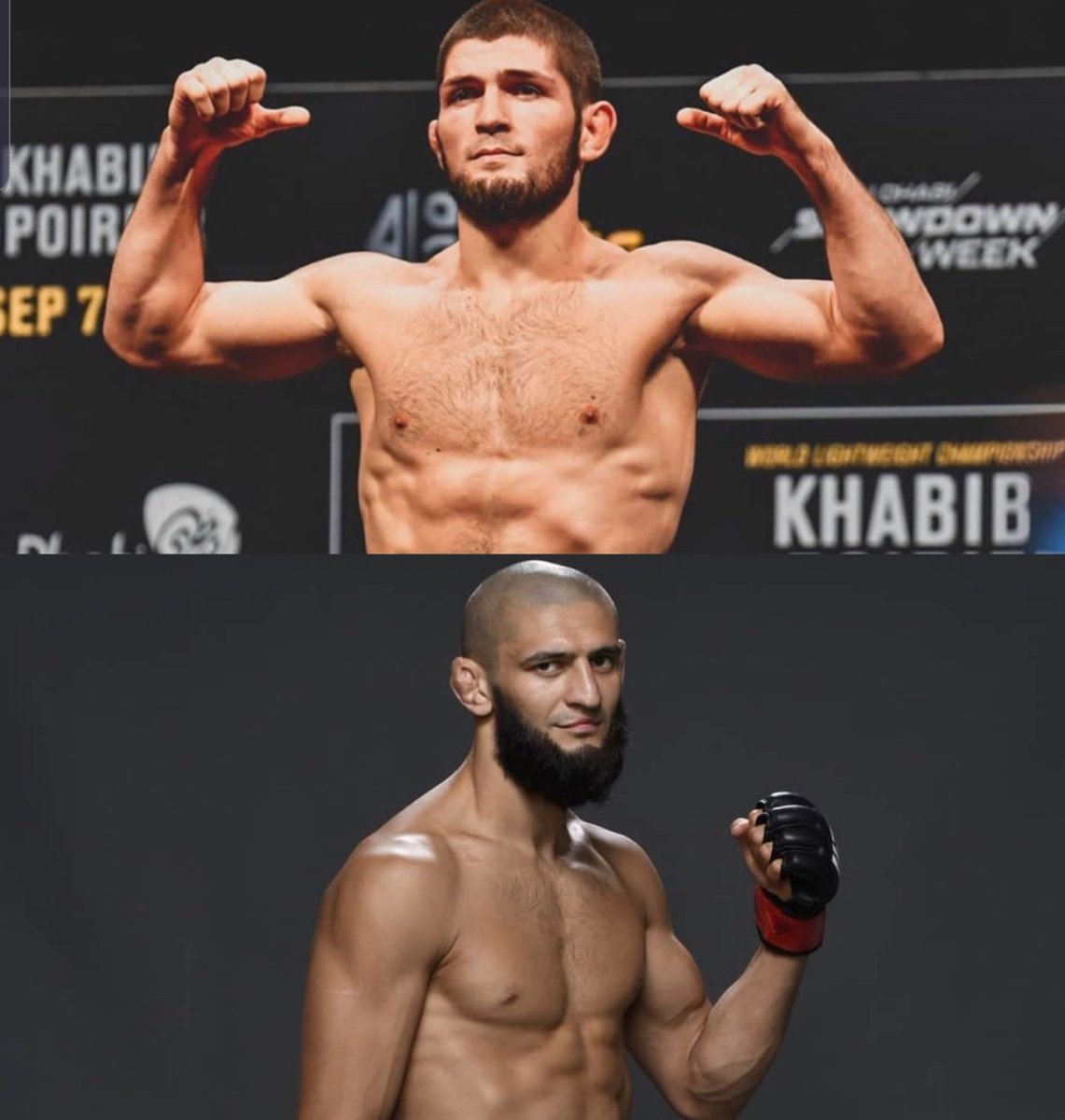 حبيب عن حمزة تشيمايف:

" أعتقد أن له لديه مستقبل واعد في الفنون القتالية، اتمنى منه التركيز في التدريبات والقتالات وعدم الإلتفات للإعلام والزخم الجماهيري. الكثير من الناس يشبهونه فيني وذلك لأننا من مناطق قريبة من بعض (داغستان والشيشان) ولدينا أسلوب قتالي متشابه"