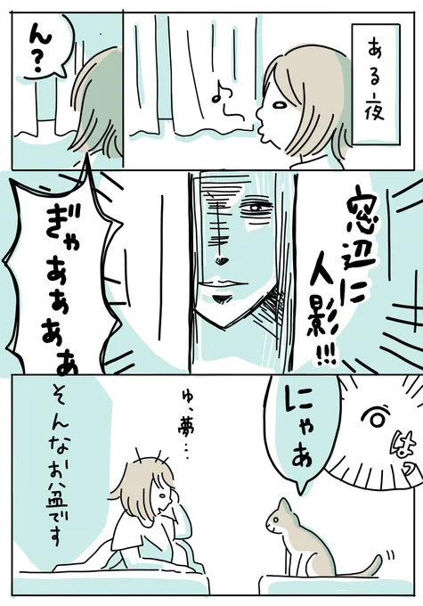 お盆休みの「夜」。
悪夢にうなされた夜中、ねこたろはトイレまで付き合ってくれました(イケメン)。でもなんかいたのかと思うとちょっとコワイ😅w 