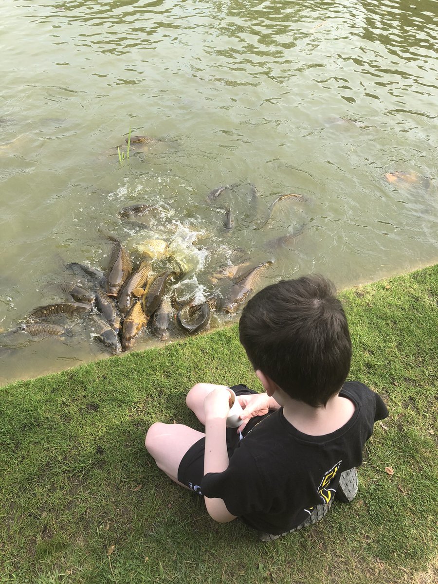 It’s amazing how much more we’re valuing the things on our doorstep since lockdown #StayingLocal #SummerLife #HappyChildren #HappyMum #Yorkshire