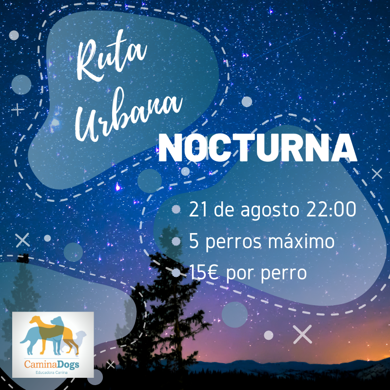 caminadogs's tweet photo. RUTA NOCTURNA ! ✨🌃🌒
👉Viernes 21 de agosto
👉22:00 - 00:30 aprox.
👉Iremos a la Dehesa Boyal a ver las últimas #Perseidas
Rellena el formulario 🔽🔽🔽
https://t.co/0LCD31eQRZ
#rutaurbanaconperro #conperro #vamosdepaseo #Alcobendas #Sanse #Madrid #Madridconperro https://t.co/5caDBB8tcm