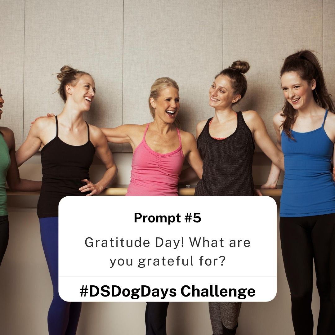 shape_method's tweet image. We're grateful for y'all 💛#DSDogDays