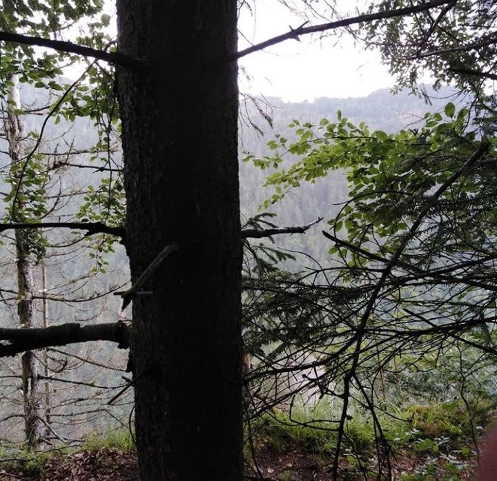 Wolfsteig via Felsensteig bei richtigem starkem Regen