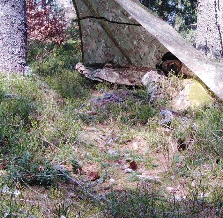 Ralf Hendel (@ralfhendel) on Twitter photo 