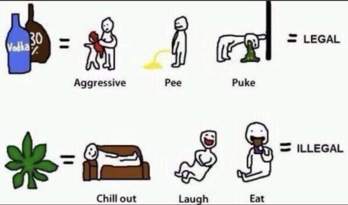 #stonergirl 😎💨 https://t.co/pbIP8x4cTG<a href="/tag/stonergirl"class="tags">#stonergirl</a>