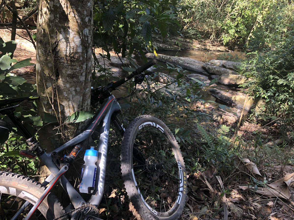 Phathokuhle Zondi tweet media