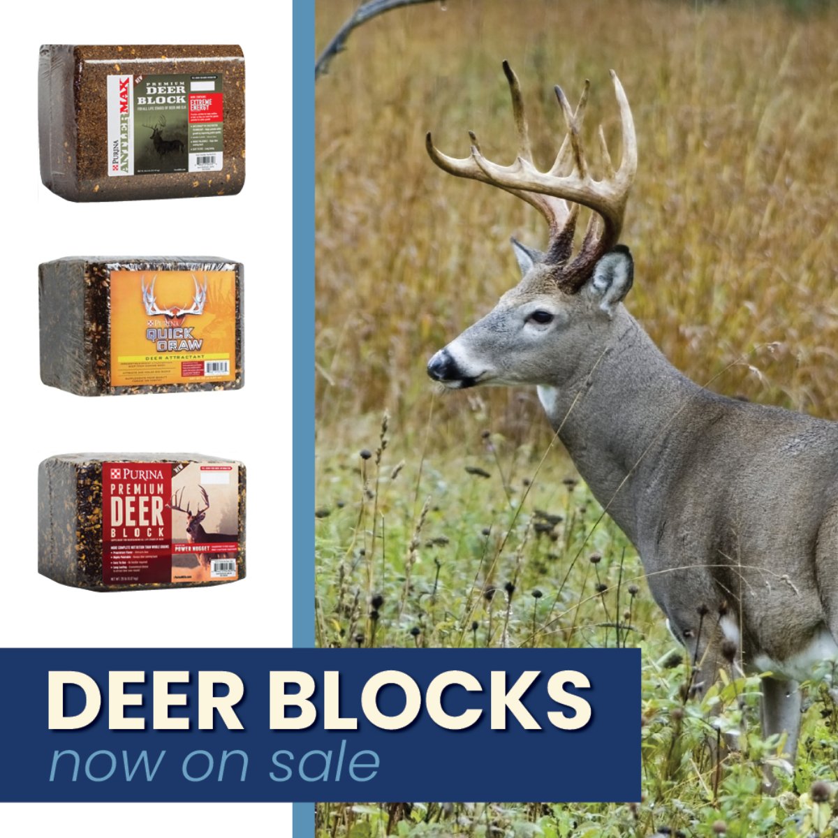 Stop by the General Store for our Deer Block sale! We have Purina Antler Max, Purina Quick Draw, and Purina Premium Block in stock at great prices.