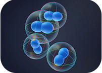 Congratulations to the @PinhoLab
 for the paper published today in <a href="/NatureComms/">Nature Communications</a>
 on the cell division🧫 of S. aureus, one of the most common causes of hospital-acquired infections.🔬 
itqb.unl.pt/news/the-golde…