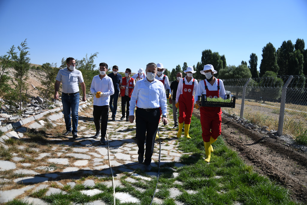 kayseritarimorm's tweet photo. #Lavanta #Kokulu #Umutlar #Projesinde İlk Aşama Başlatıldı
https://t.co/edci6diUAf
#üretenKayseri #gelişenTÜRKİYE
@bekirpakdemirli @SehmusGunaydin @mustafaaksutr @fatihmetintr @mehmethaditunc @MstafaSahin44 @TCTarim https://t.co/h2JY47TYOe
