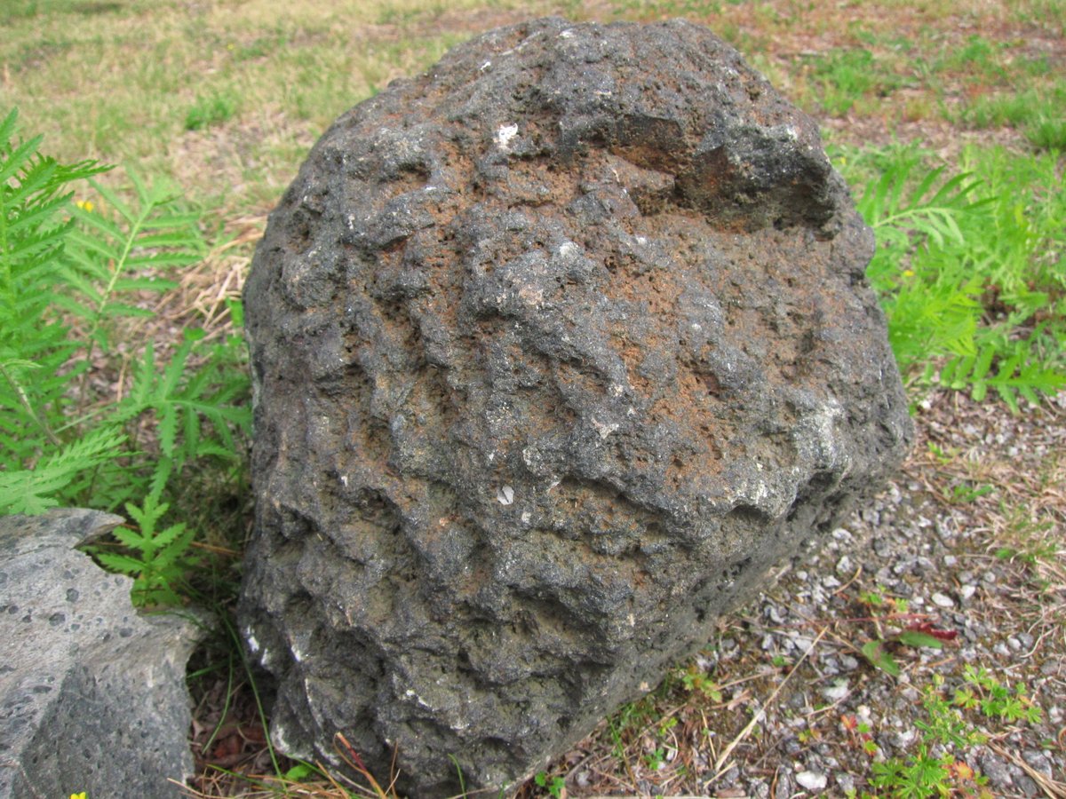 MorgaineFee's tweet photo. Back with #stonesathome after summer break!
Not a meteorite, but a weathered gabbro boulder found in Sรถrbรถle, Umeรฅ (till).
Probably from somewhere in Svecofennian province, Vรคsterbotten.
A much bigger similar boulder called Ljummarstenen was found in Kattisavan (Lycksele). https://t.co/lX6F45INSV