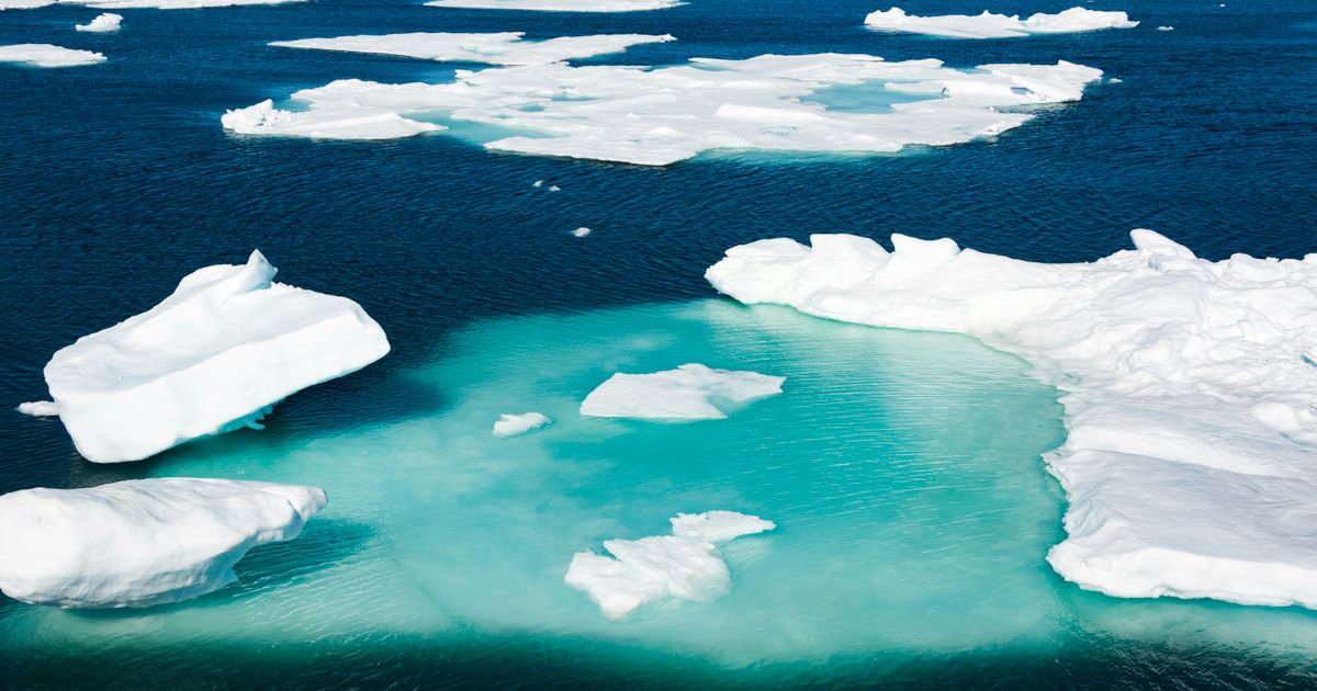 The ice shelves in certain regions, West Antarctica and parts of the Antarctic Peninsula, for instance, are melting and thinning from the bottom up. The continent rapidly is losing billions of tons of ice each year. #ClimateCrisis #stopECOCIDE, #NewGlobalDeal, #SDGs