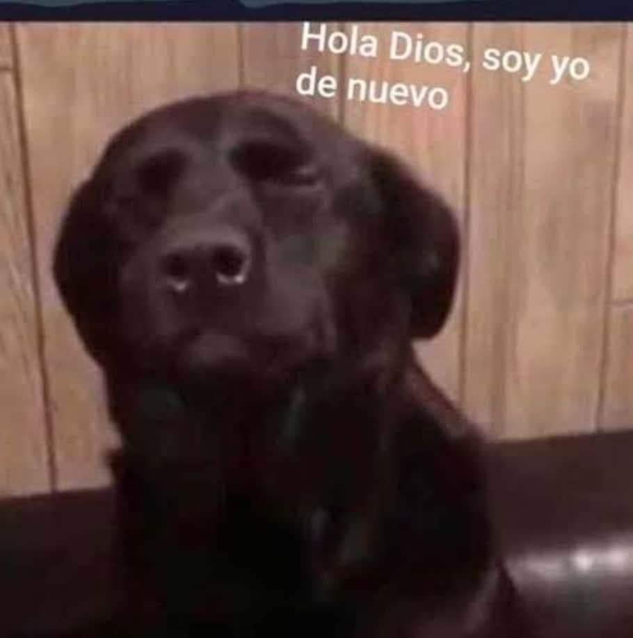 Yael_gatote's tweet photo. Me : BUENOS DÍAS MUNDO 
EL MUNDO : SE ESCAPÓ LA MUÑECA ANABELLE DEL MUSEO DE LOS WARREN !!!!
ME: LA SANGRE DE CRISTO TIENEN PODER , CRISTO TEN PIEDAD DE NOSOTROS , PADRE NUESTRO Y AVE MARÍA HAS QUE ESTA CHINGADERA NO VENGA POR MI TODAVÍA .. https://t.co/2hcJDGCf6s