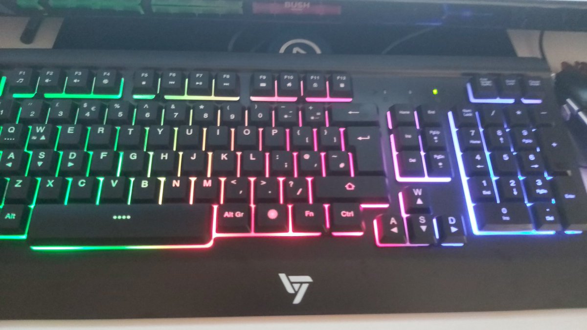 oscar okeeffe tweet media