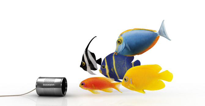 SmartCellWI's tweet photo. Refer a coworker, family member or friend to the TELUS Exclusive Partner Program and you will both receive a $50 bill credit when they successfully complete an activation. Start referring and save! https://t.co/rcJ3es84Gz https://t.co/CundyvRkUv