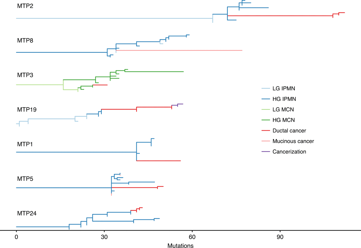 Several important findings:1. Evolutionary analyses revealed IPMNs and MCNs are true precursors to invasive cancer.
